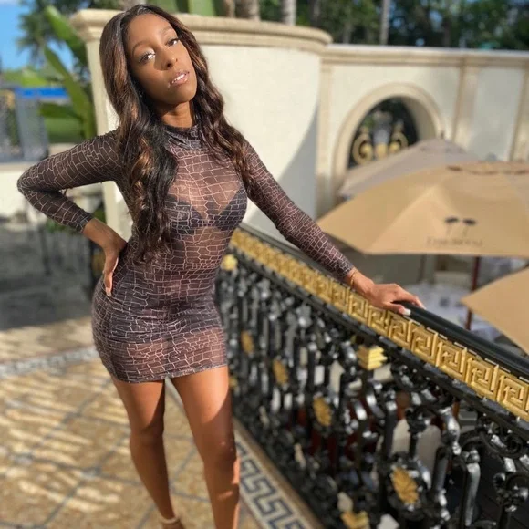 Dresses | Allover Print Mock Neck Sheer Mesh Bodycon Dress | Poshmark